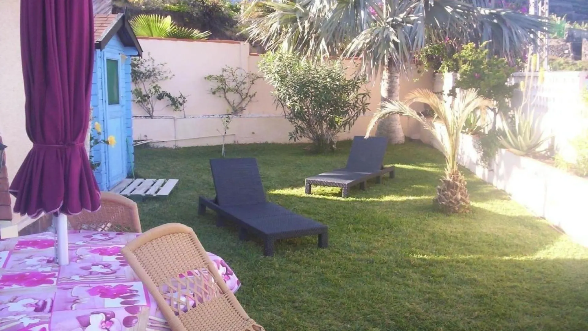 Kleines Ferienhaus In La Matanza De Acentejo 산타크루스데 테네리페